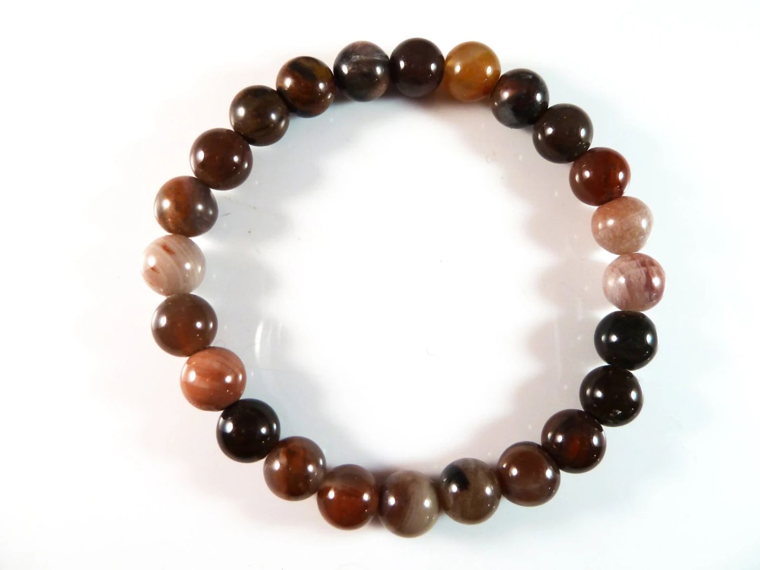 Petrified Wood 8MM Bracelet