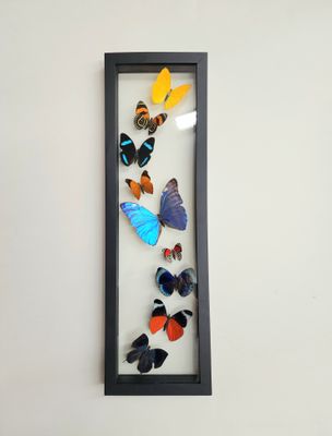 Peruvian Butterfly Frames - 19"x6"