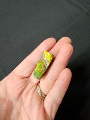 Ammolite Piece