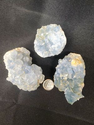 Celestite Clusters Medium