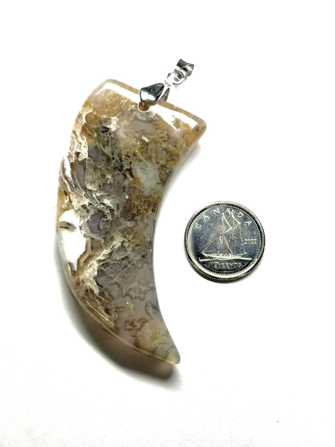 Moss Agate Tooth Shaped Pendant