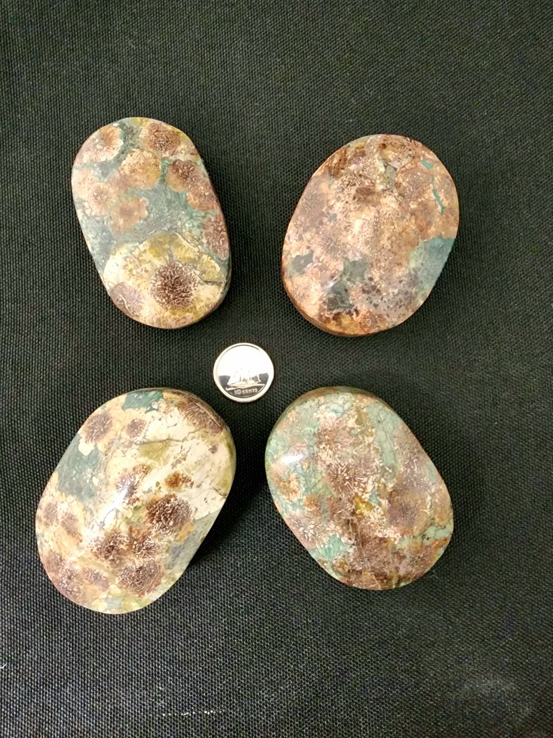 Flower Rhyolite / Green Flower Jasper Palmstones