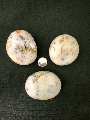 Merlinite / Dendritic Agate  Palmstone