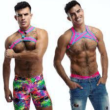 Juku Reversible Harness