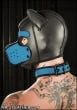 Neo Puppy Collar, Color: Aqua, Size: S/L