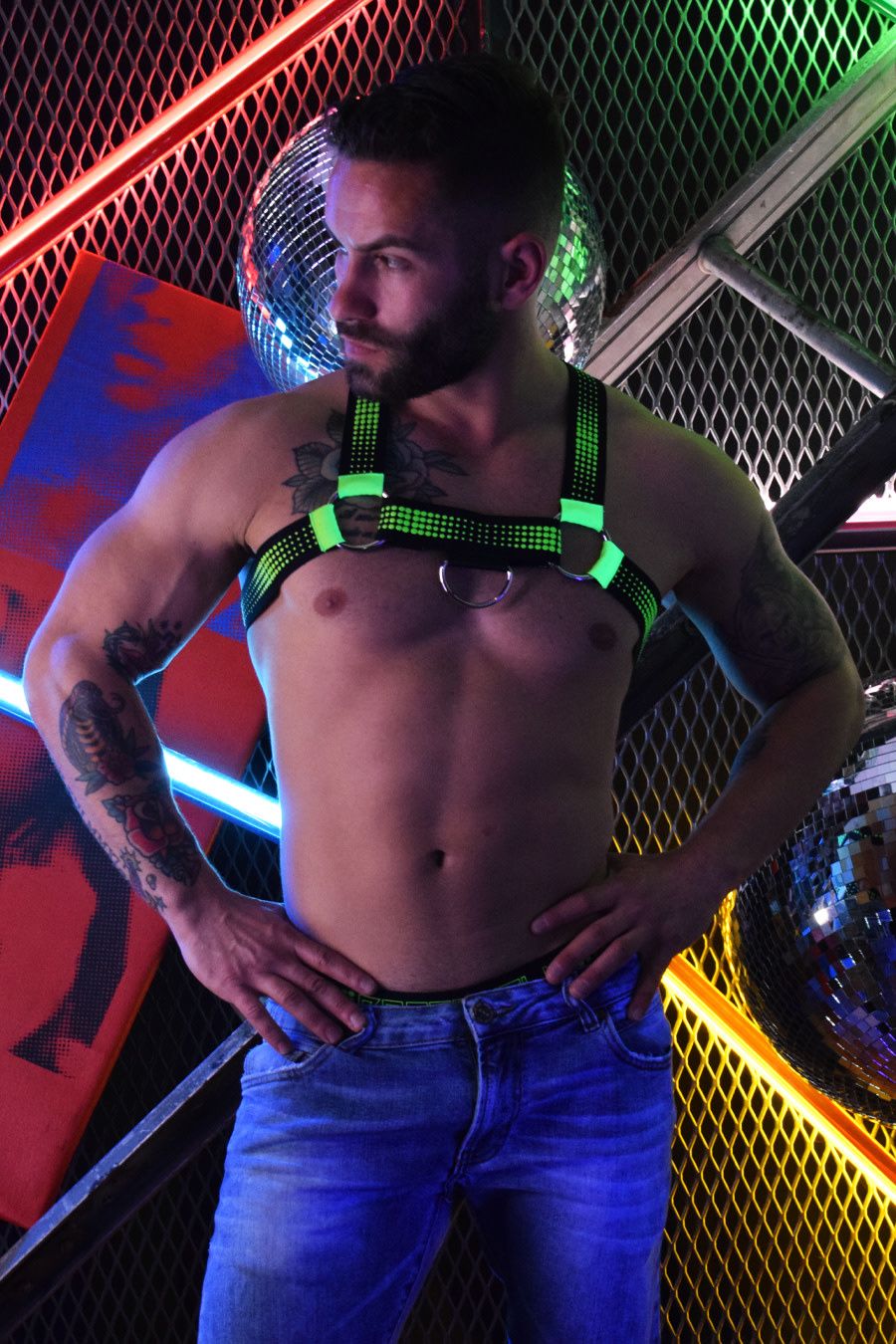 Breedwell Manhole Harness