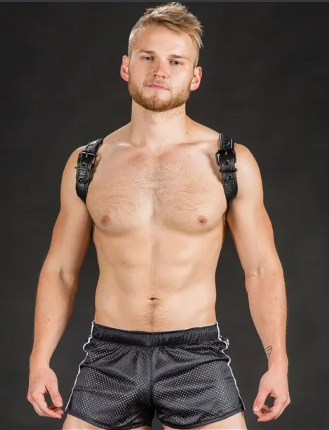 Mr. S Leather - Leather Cadet Shoulder Harness