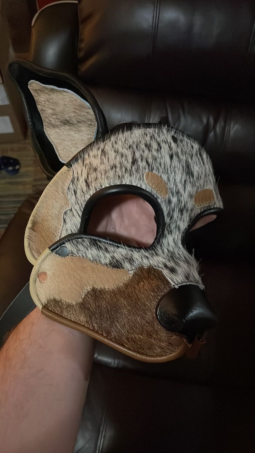 Custom Leather Hoods Blue Merle Aust Shepherd Med Breed