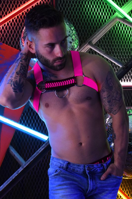 Breedwell Nightcrawler Harness 
