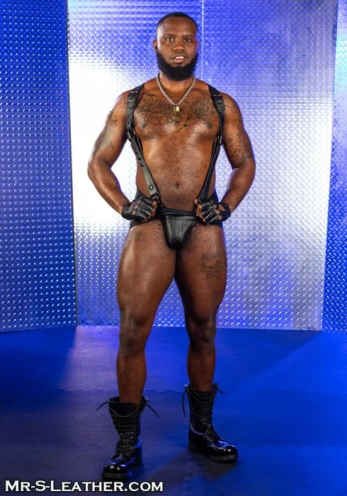 Mr. S Leather - Leather Hunter Harness 
