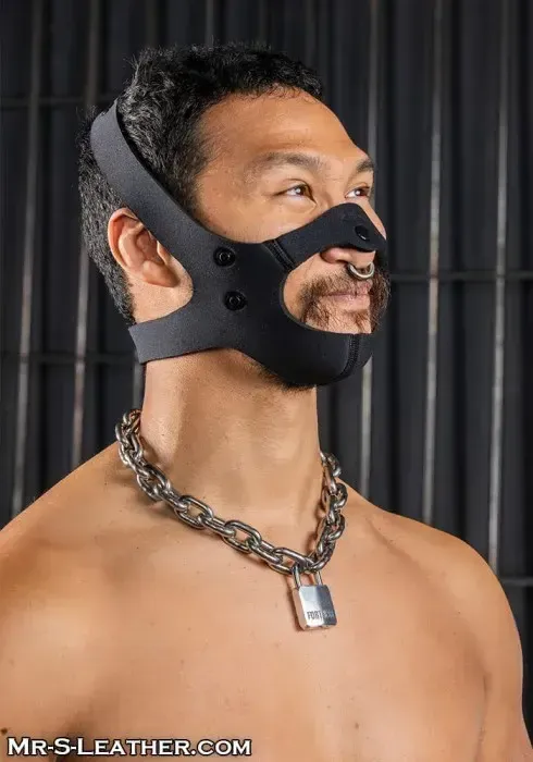 Mr. S Leather - Neo Face Muzzle Head Harness -Black - One Size