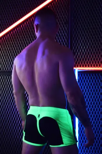 Rear Ender Circuit Shorts