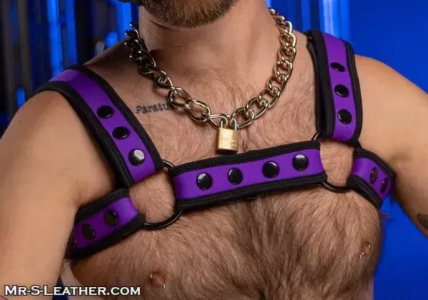 Mr. S Leather - Neo Bold Color Bulldog Harness