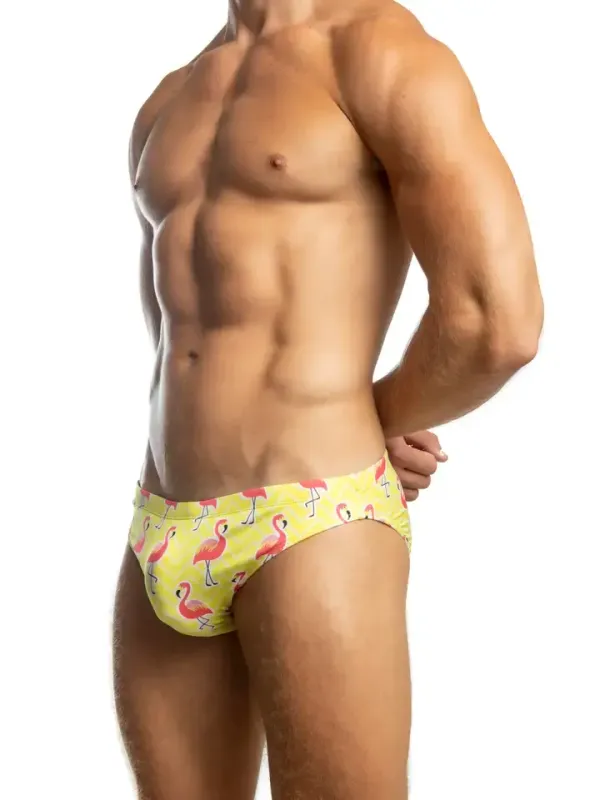 Flamingo  Swim Brief