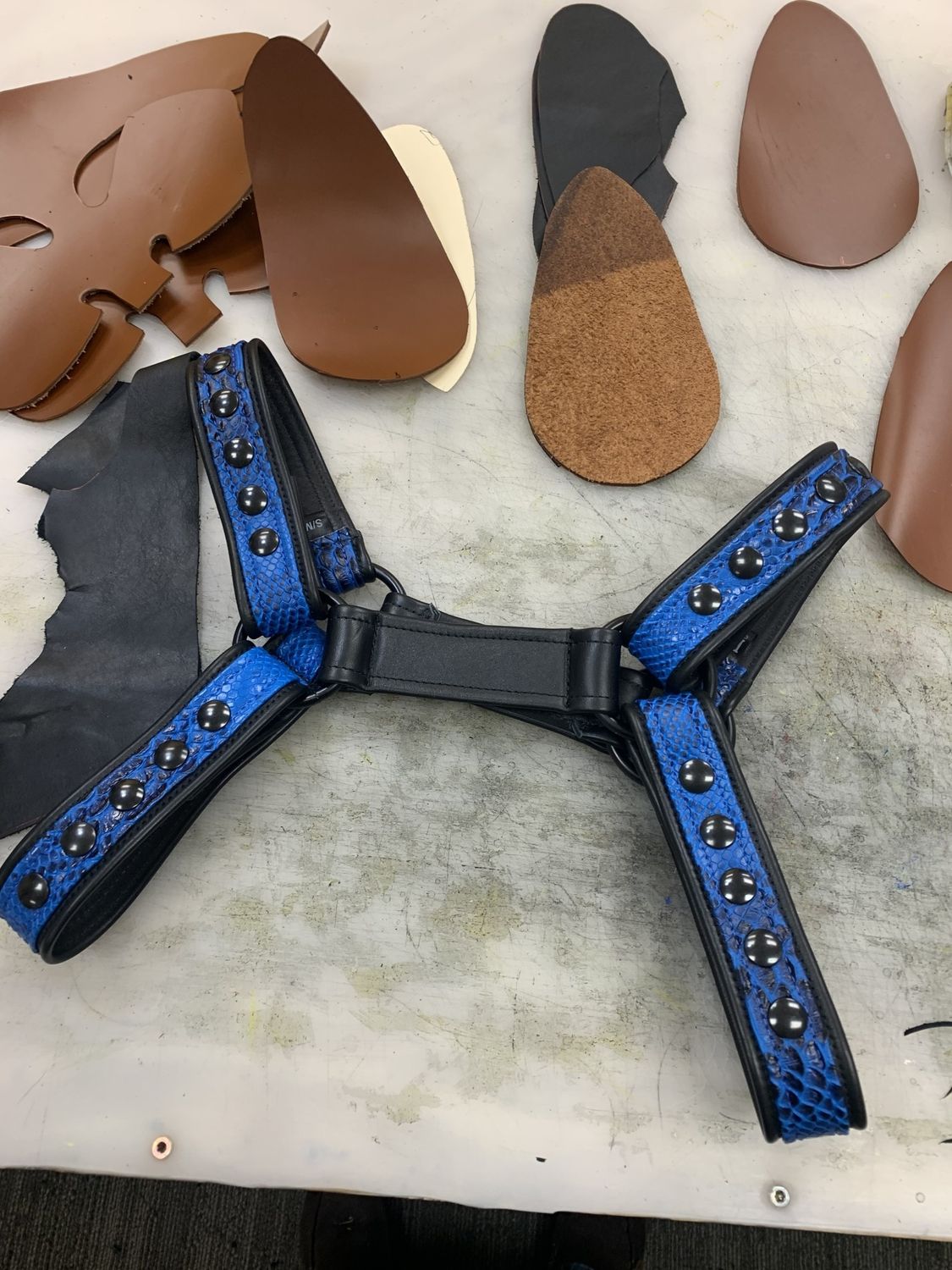 CJ Premium Bulldog Harness - Assorted