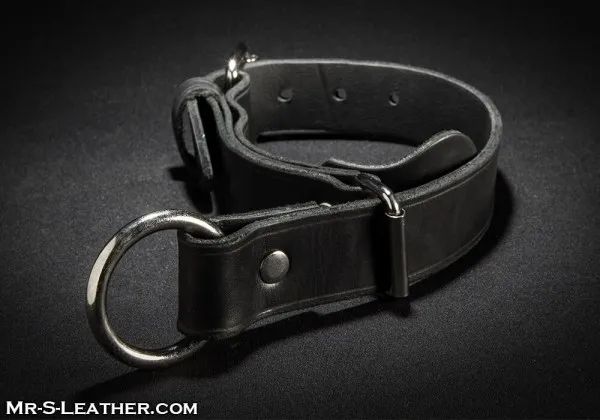 Mr. S Leather - Leather Quick-Pull Choke Collar - Black - One Size
