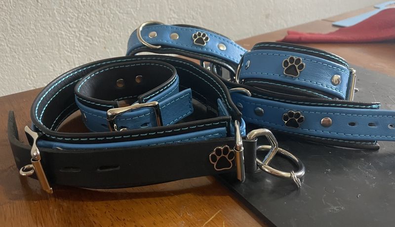 Neesh Single Wrist or Ankle Restraint w/ Paw