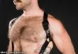 Mr. S Leather - Leather Hunter Harness 
