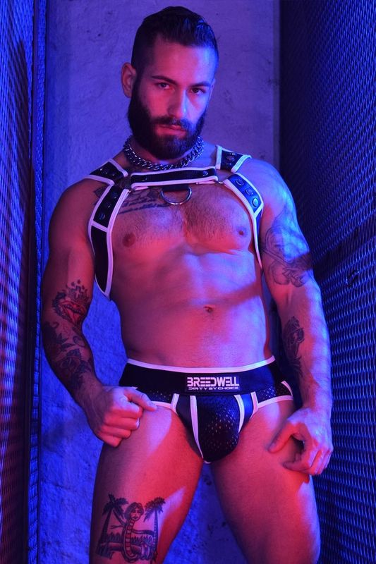 Breedwell Neogear Harness