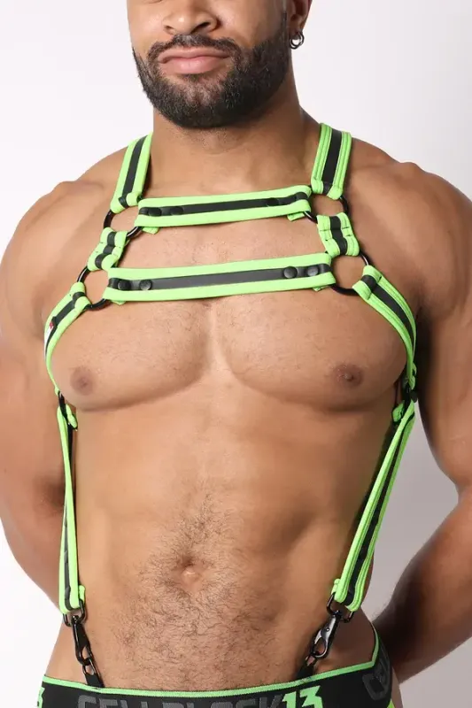 High Bar Harness