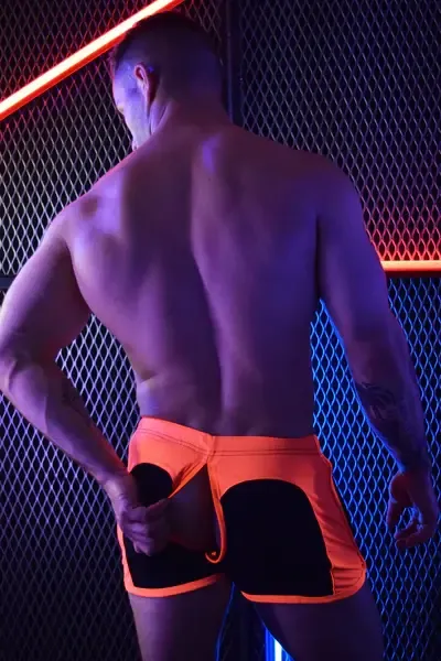 Rear Ender Circuit Shorts