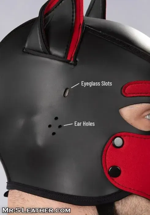 Mr. S Leather Customizable Neoprene K9 Puppy Hood
