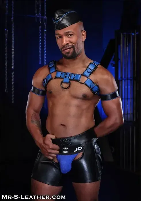 Mr. S Leather - Dark Room Leather Bulldog Harness 
