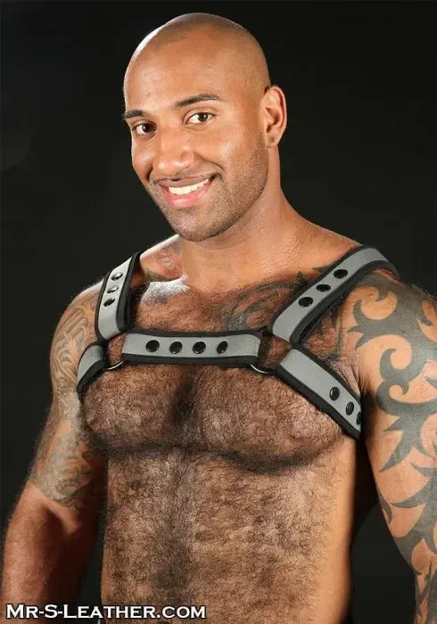 Mr. S Leather - Neo Bold Color Bulldog Harness