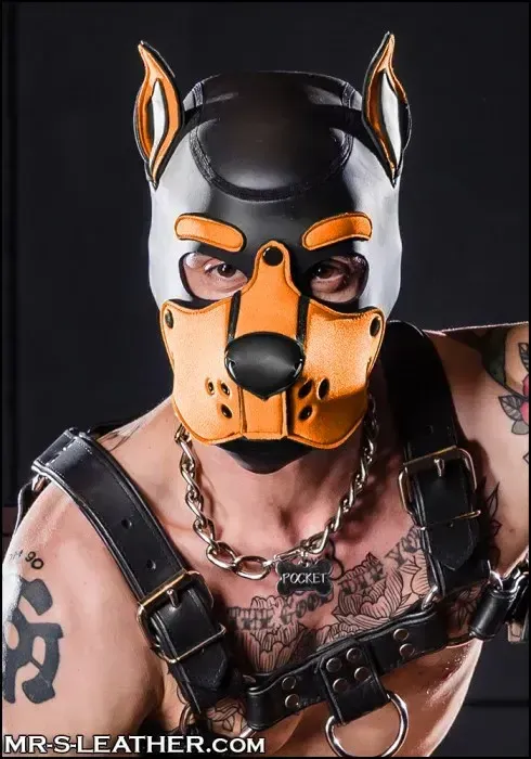 Neoprene K9 Hood