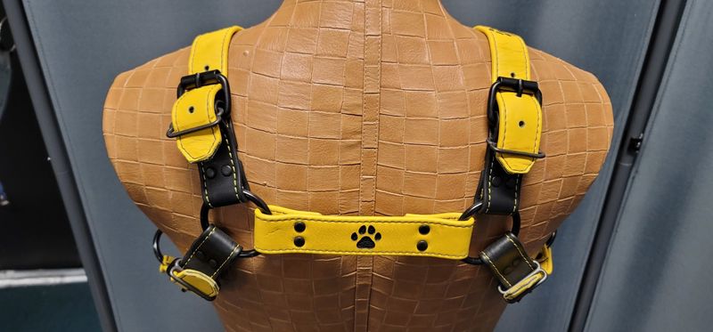 Neesh Pup Harness- Bulldog