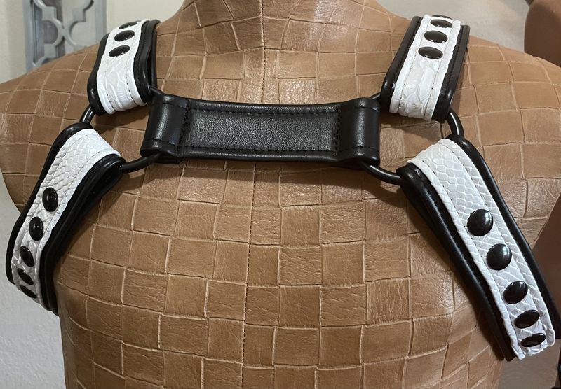 CJ Premium Bulldog Harness - Assorted