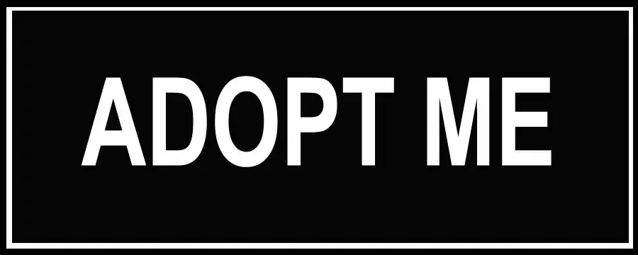 Nylon Patch - Adopt Me