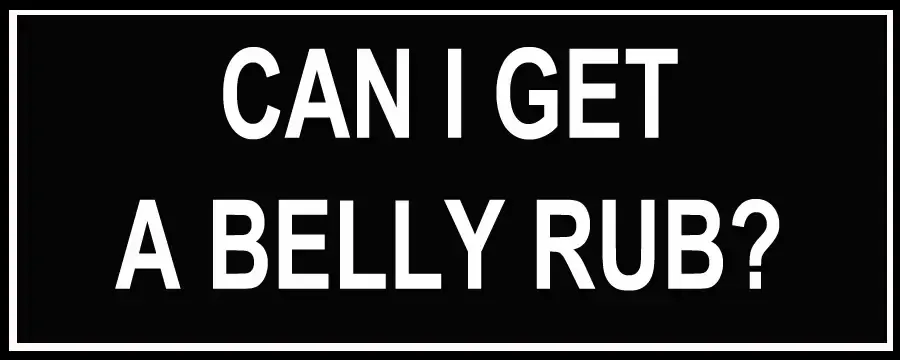 Nylon Patch - Can I Get A Belly Rub