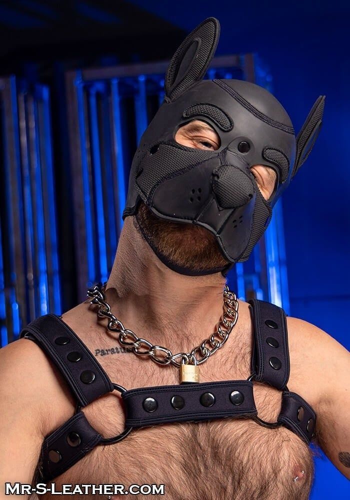 Neoprene Frisky Pup Hood, Color: Black, Size: M