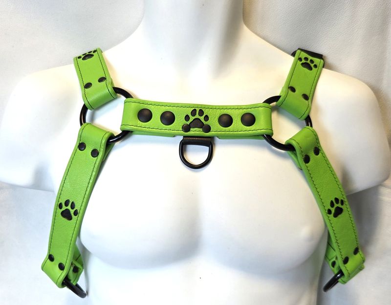 Neesh Pup Harness- Bulldog