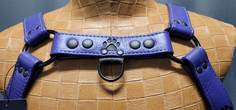 Neesh Pup Harness- Bulldog