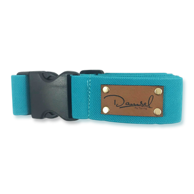 Damsel Fly Fishing Wading Belt