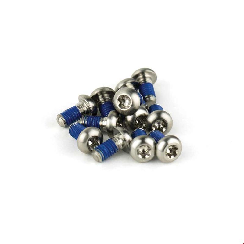 SRAM Titanium Rotor Bolts Silver 12 pcs