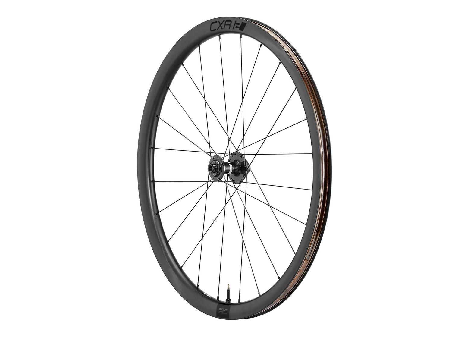 CXR 2 Disc, Size: Front