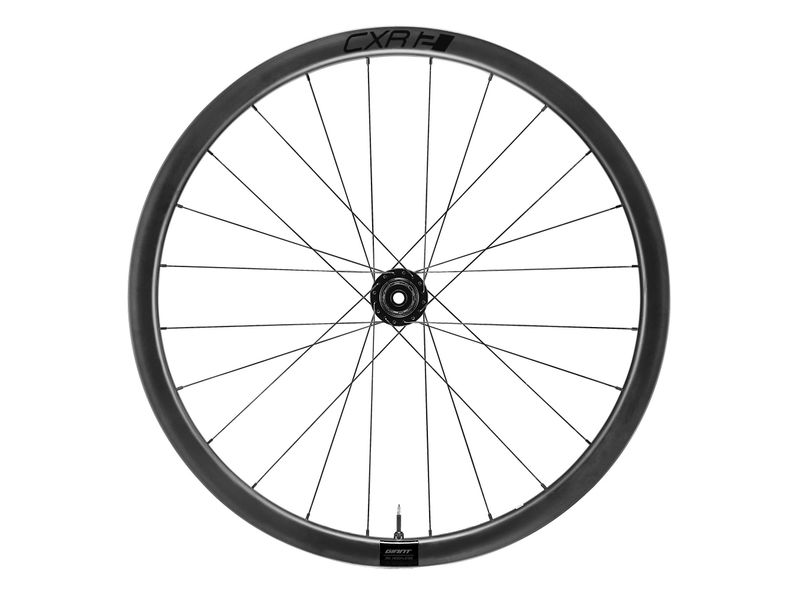CXR 2 Disc