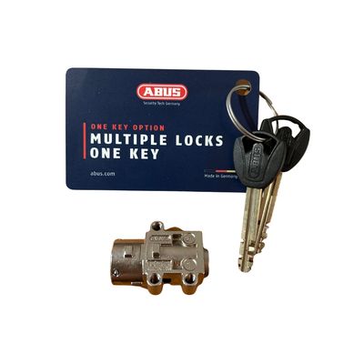 E-Bike 23 Explore/Amiti Lock Mechanism w/ 2 Keys