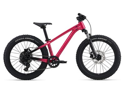 26 STP 20 FS (Liv)