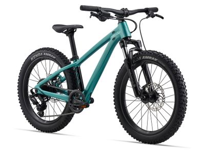 27 STP 20 FS (Giant)