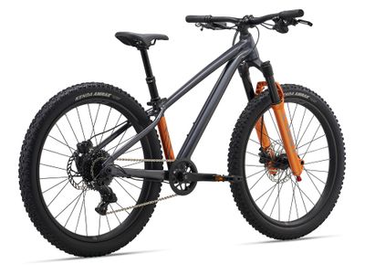 27 STP 24 FS (Giant)