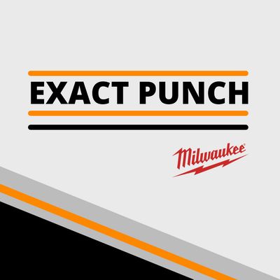EXACT PUNCH