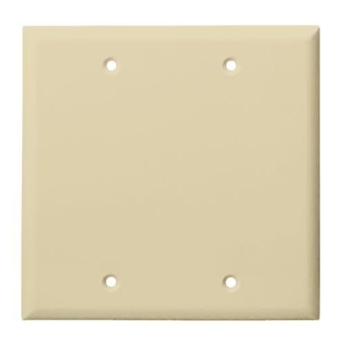 8802-I RESI BLANK WALL PLATE 2-GANG IV TAPA PLASTICA 4X4
