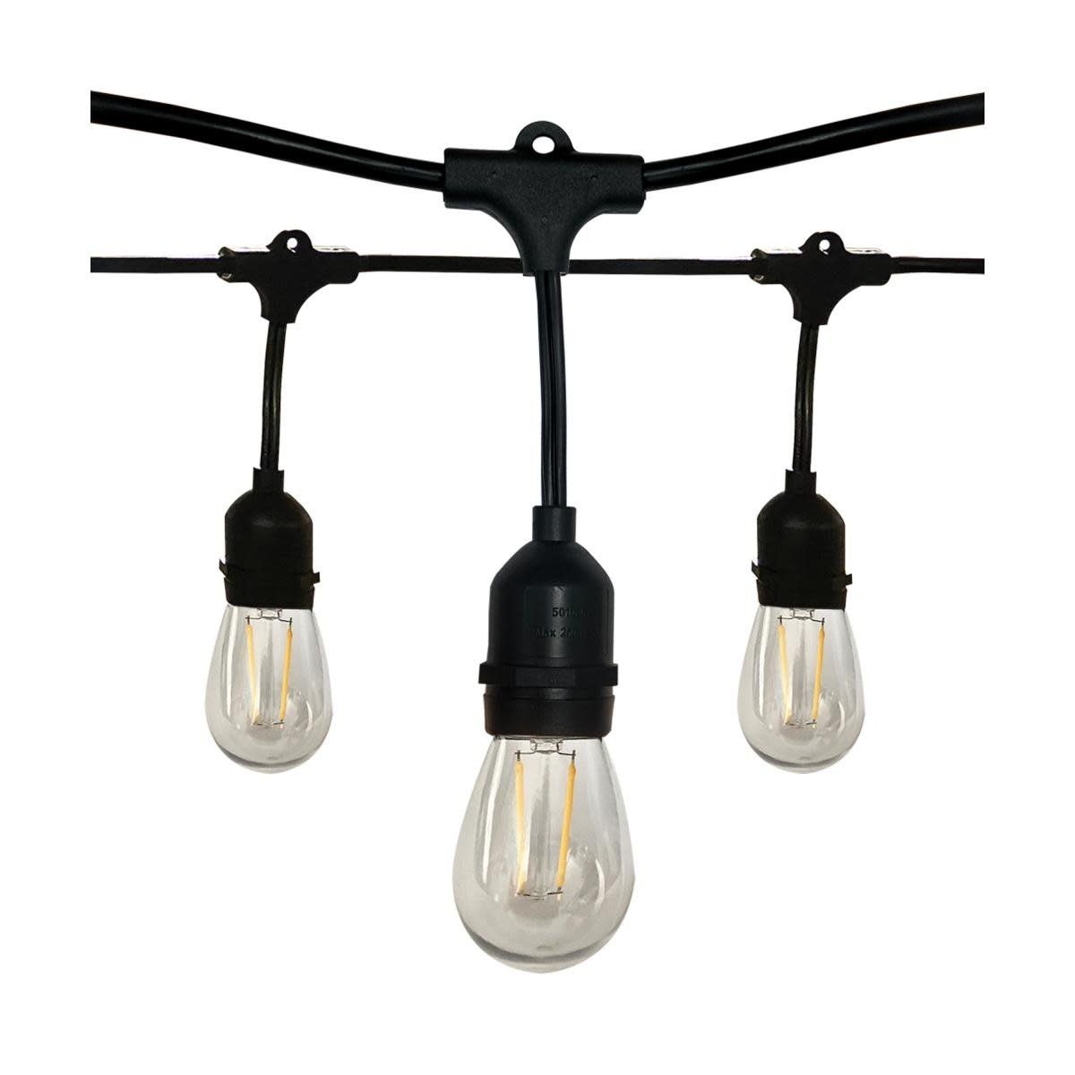 S8020 24FT/LED/STRING LIGHT/120V Includes (12) 1W LED Lamps (S8021)