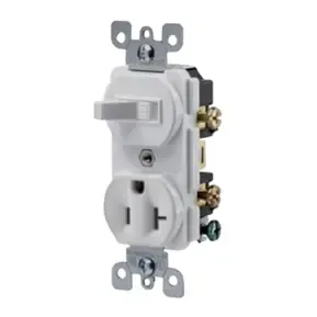 1C-GPRSB20A-W SWITCH/RECEPT. 20A WHITE (10EA)