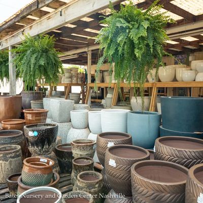 Containers &amp; Decor