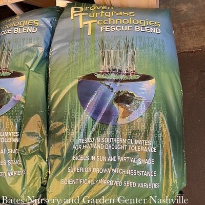 Turfgrass Seeds
